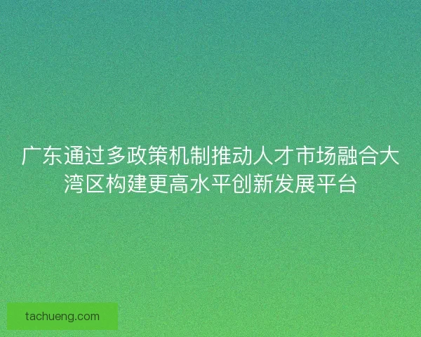 广东通过多政策机制推动人才市场融合大湾区构建更高水平创新发展平台